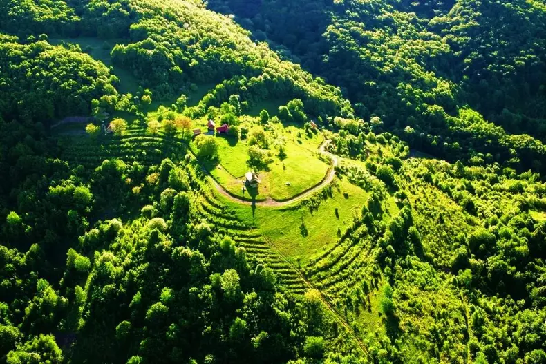 cum arata casa parinteasca a lui arsenie boca