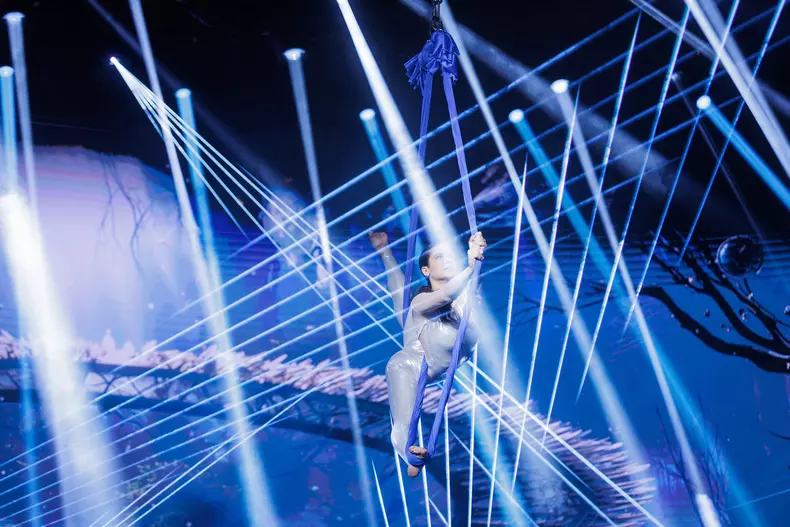 Damaris Lupu - Romanii au talent