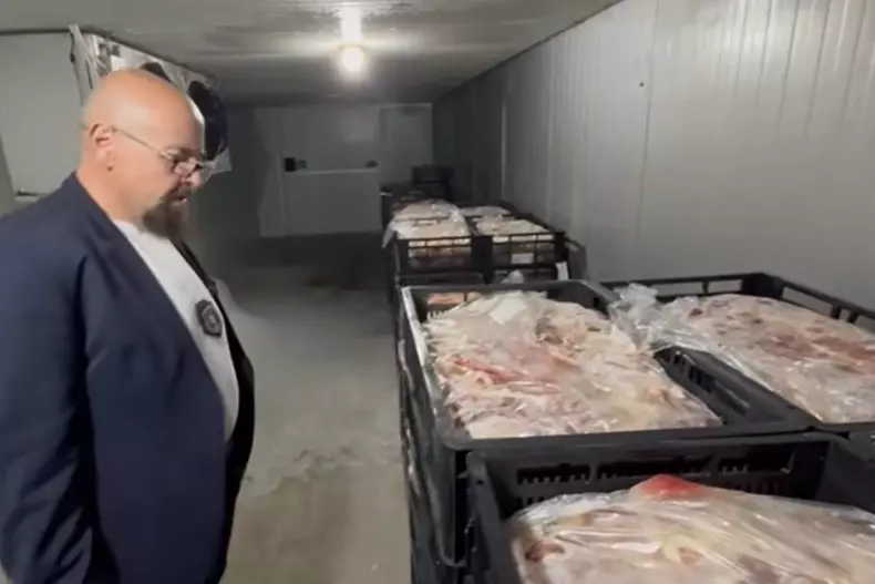 cristian popescu piedone fabrica de carne ilfov