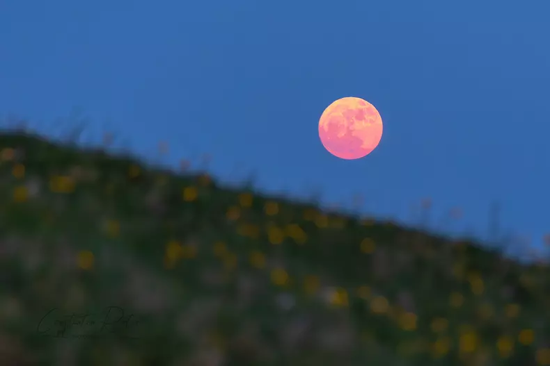 luna-capsuna-romania-foto-constantin-rotar