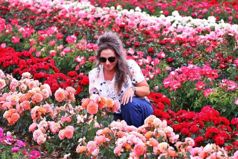 ciumbrud trandafiri3