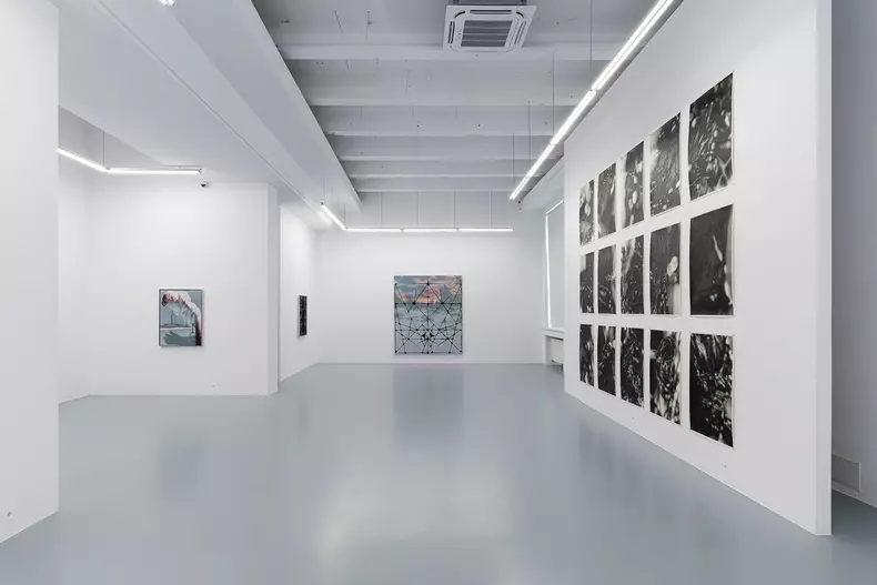 Imagini de la expoziția "Tigruletigrule"