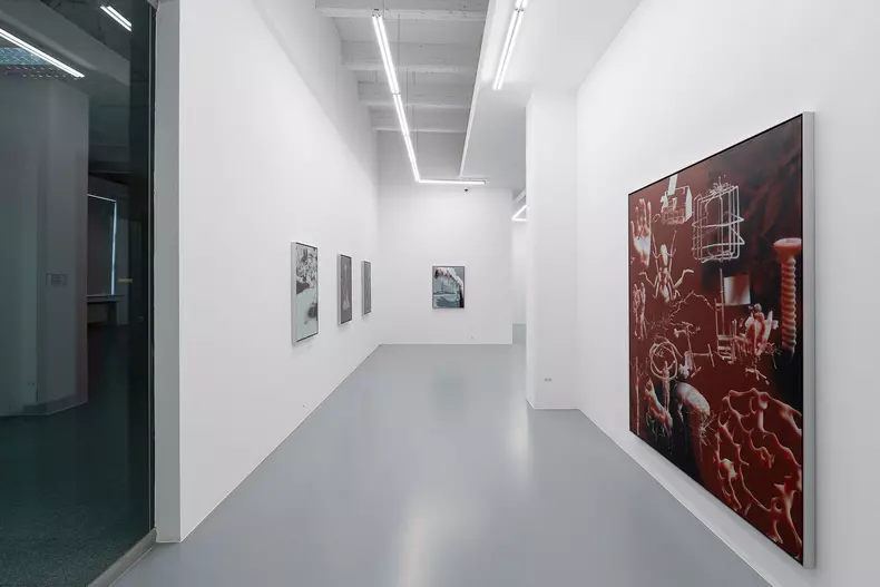 Imagini de la expoziția "Tigruletigrule"
