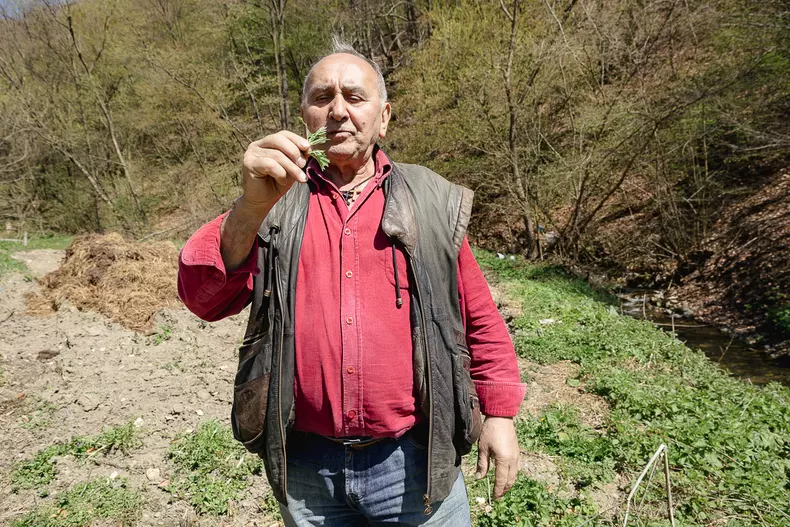 sat-romani-mina-s-169