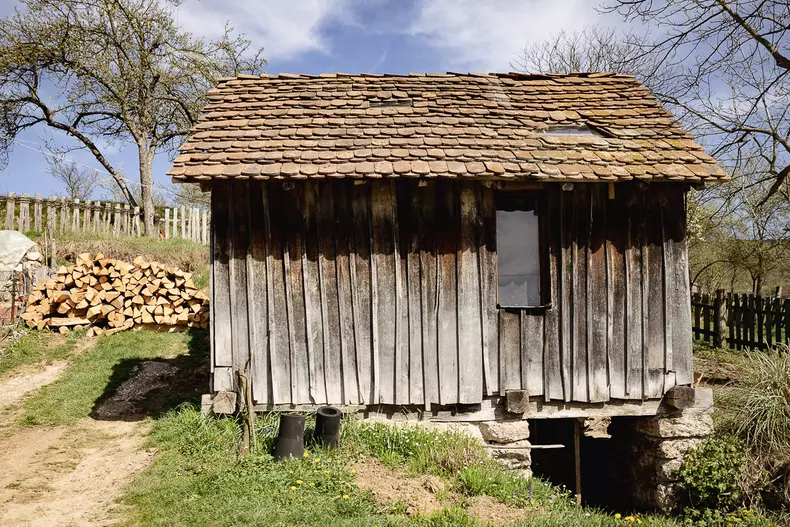 sat-romani-mina-s-204