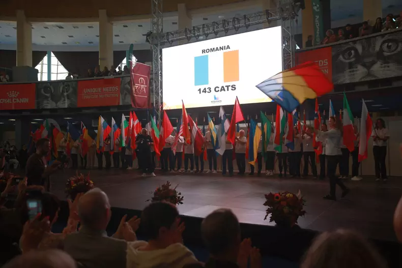Campionatul Mondial Felin_ (10)