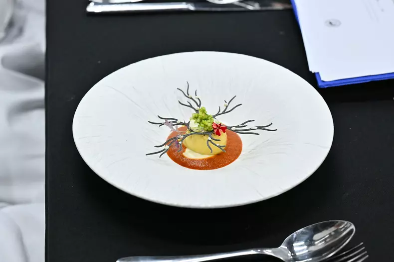 bocuse dor cupa mondiala a gastronomiei (14)