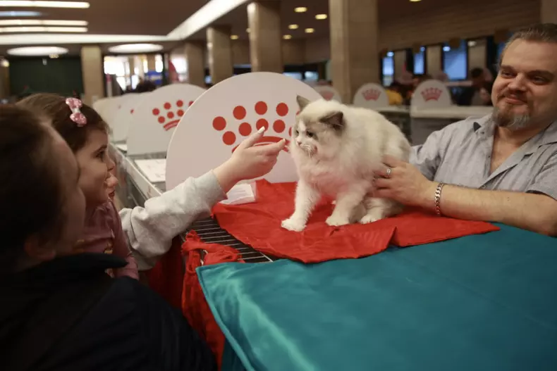 Salonul Felin Internațional SofistiCAT (11)
