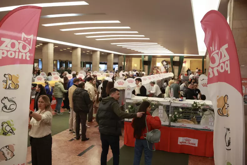 Salonul Felin Internațional SofistiCAT (2)