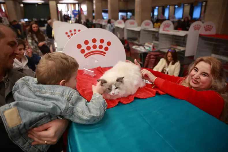 Salonul Felin Internațional SofistiCAT (21)