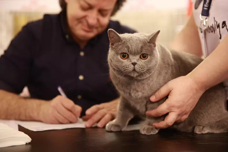 Salonul Felin Internațional SofistiCAT (24)