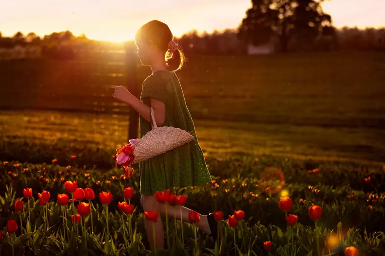 KOSD Tulipanszuret Kosd, Tulip Garden, Nandor Lang 20240407_FULL (6)