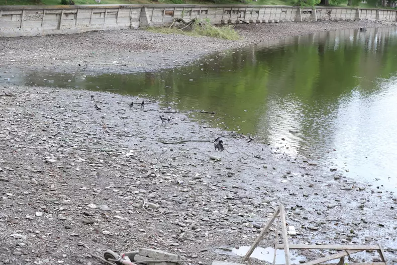lac-bucuresti-herastrau