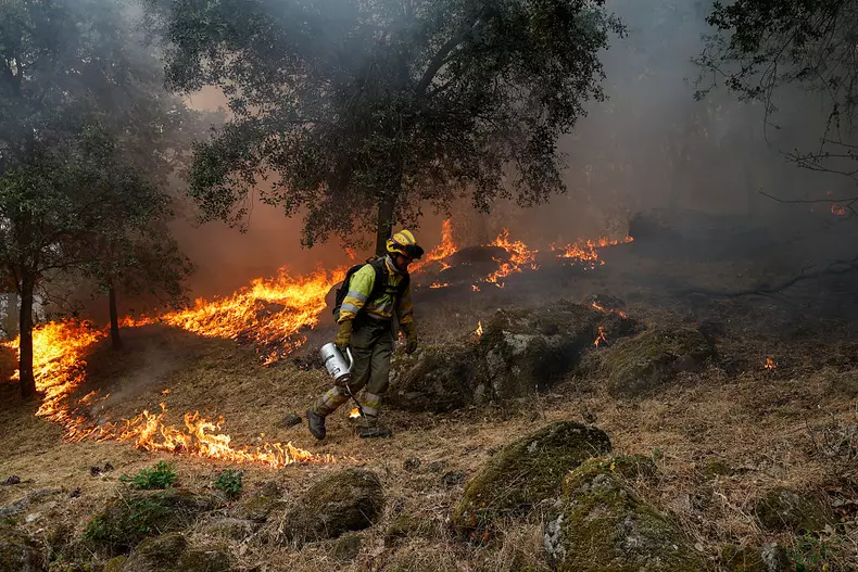 Spain Declares State Of Emergency Over Wildfires