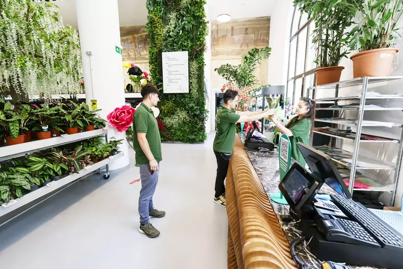 mall de plante bucuresti (10)