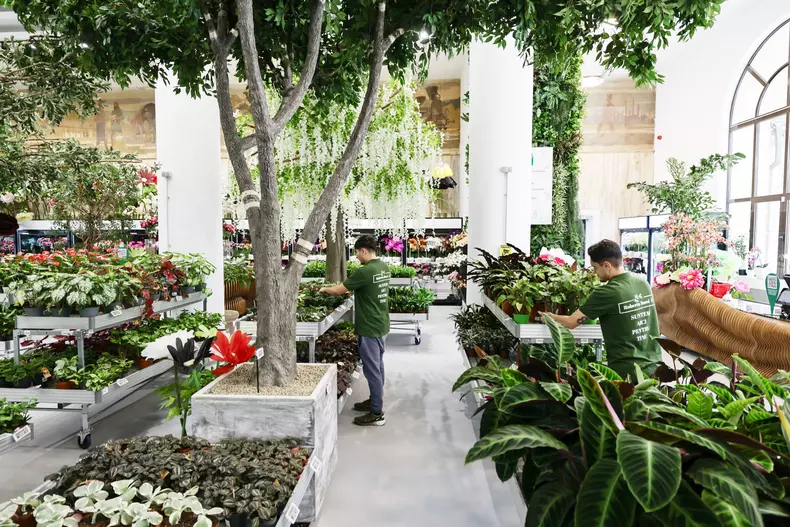 mall de plante bucuresti (11)