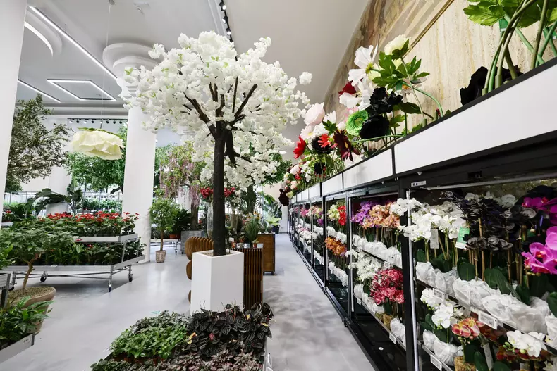 mall de plante bucuresti (12)