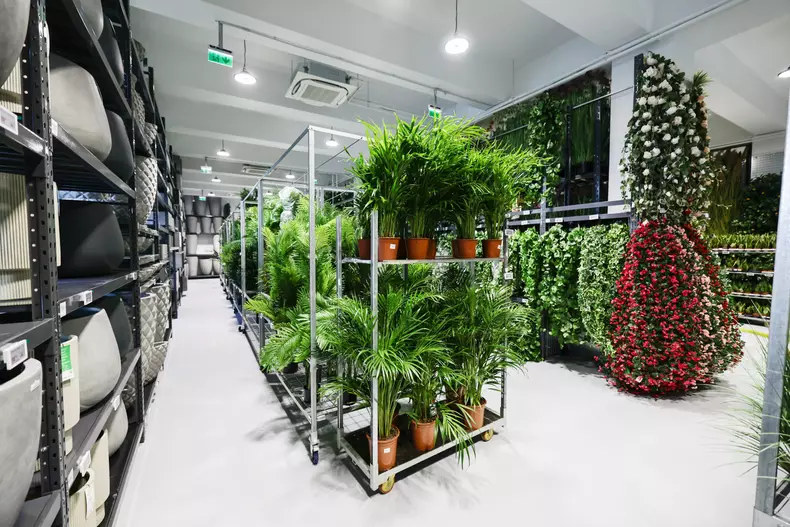 mall de plante bucuresti (21)