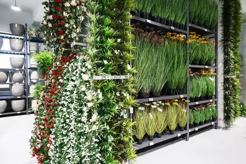 mall de plante bucuresti (24)