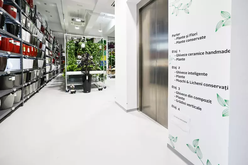 mall de plante bucuresti (25)