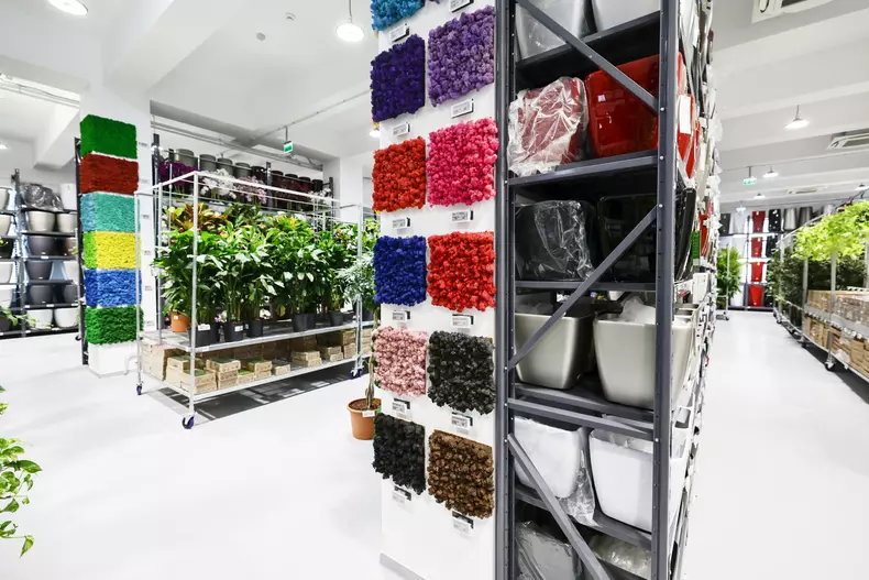 mall de plante bucuresti (28)