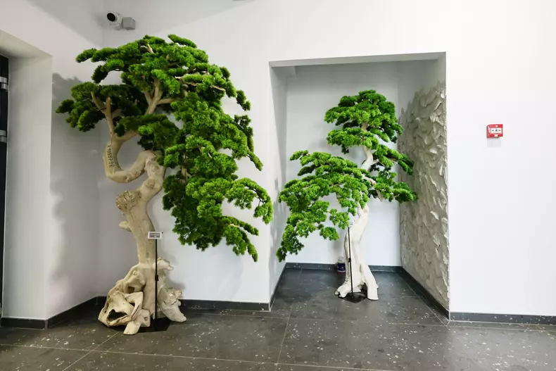 mall de plante bucuresti (33)
