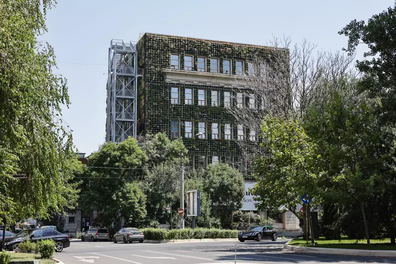 mall de plante bucuresti (37)