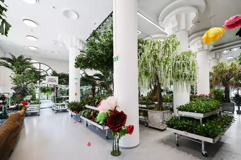 mall de plante bucuresti (4)