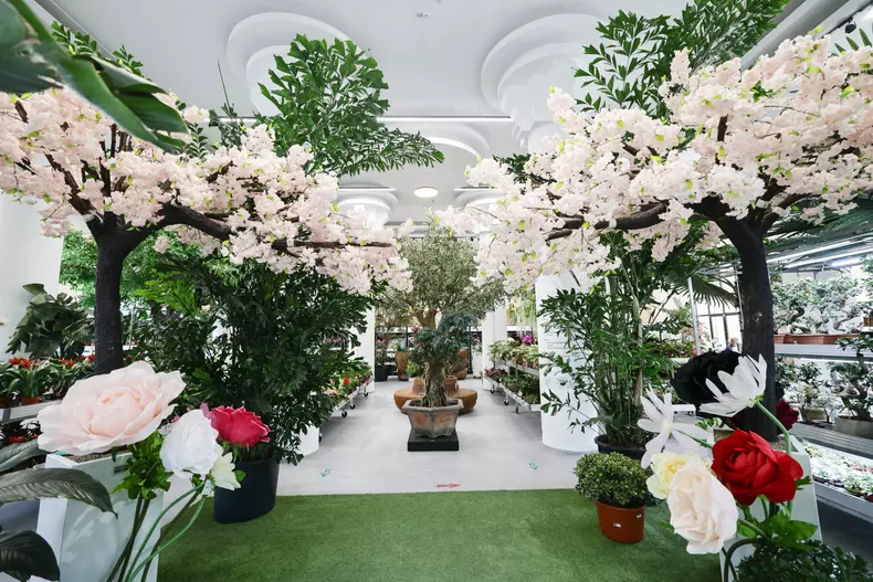 mall de plante bucuresti (8)