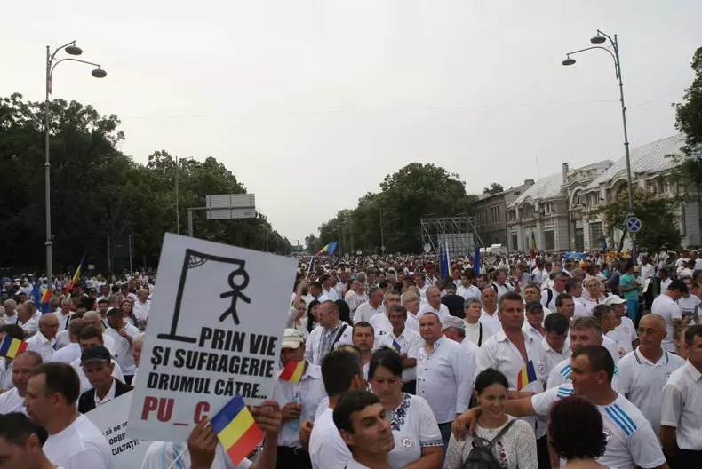 miting piata victoriei adi manolache (6)