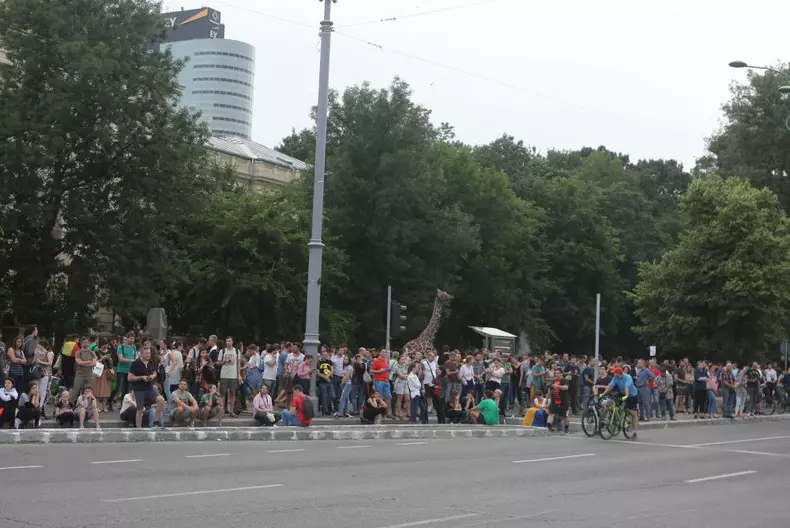 protest piata victoriei 21 iunie (5)