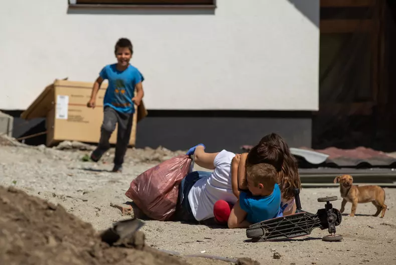 eli construieste_vlad chirea