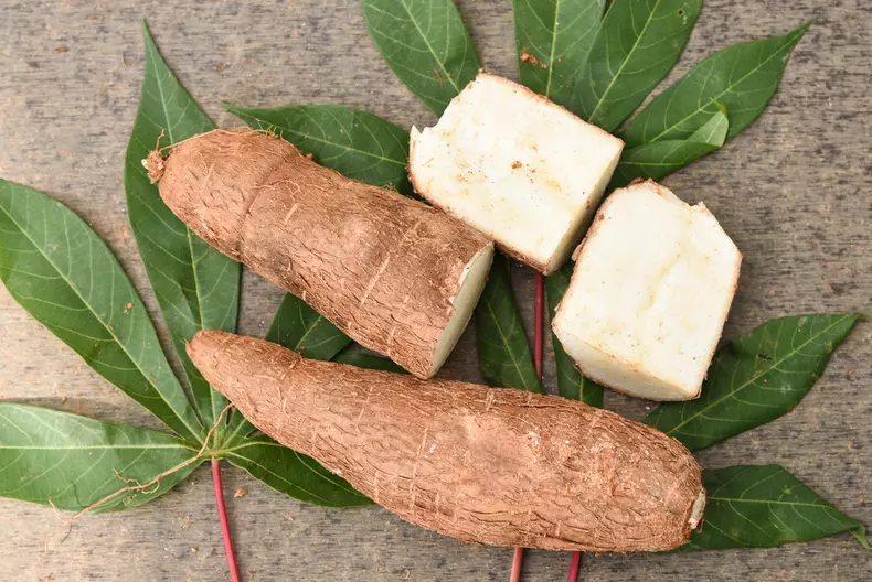 Rădăcină de tapioca denumită și “cassava”, “madioca”, “yuca”, “kappa” sau “manioc”.