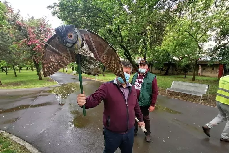 185663755_3905530012833846_3504259409204348141_n