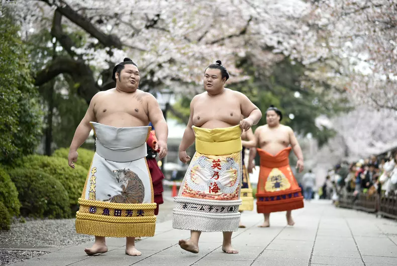 05-sumo-EPA.jpg