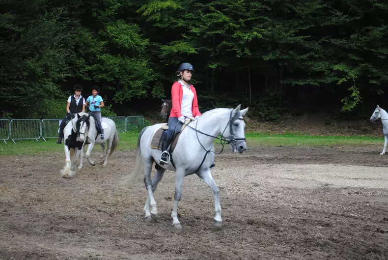 zilele rasnovului (85)