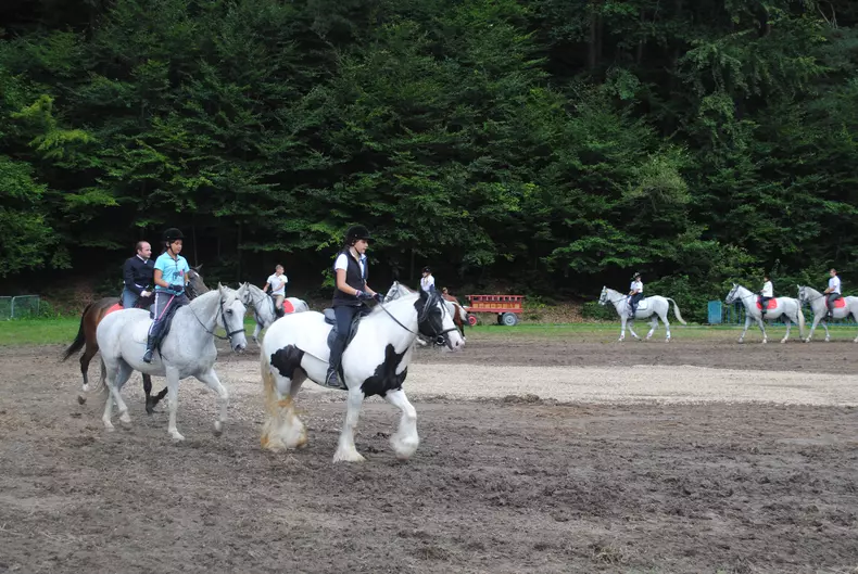 zilele rasnovului (86)