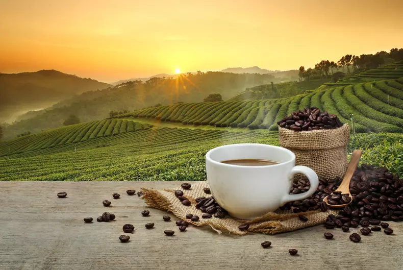 Cafea - beneficii pentru organism