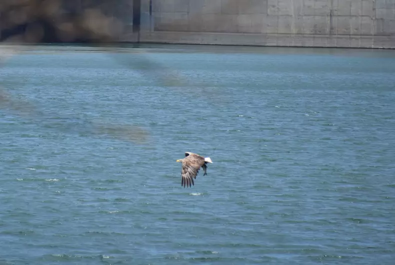 codalb-stancesti-moldova-prut-2