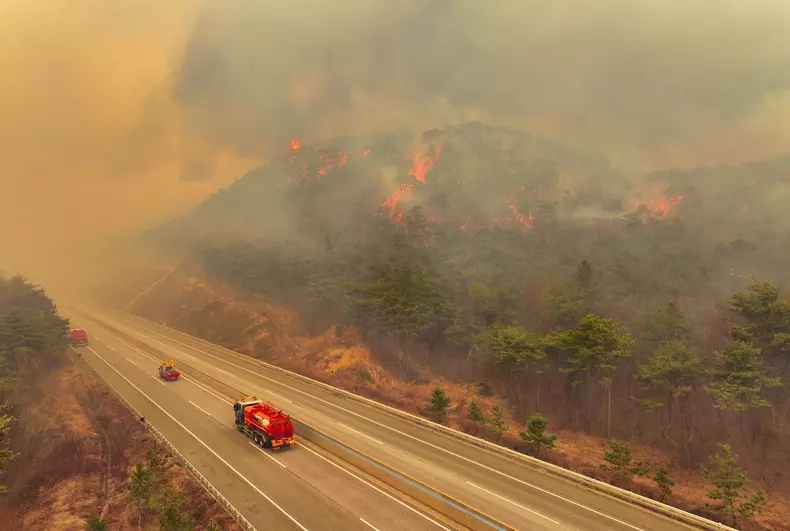 incendiu-vegetatie-coreea de sud. Foto Hepta