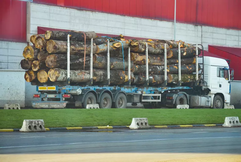 defrisari paduri romania (2)