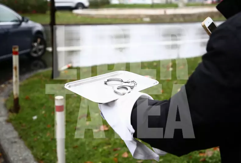 gabriel-oprea-catuse-vlad-chirea-4