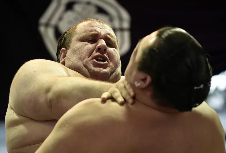 03-sumo-EPA.jpg