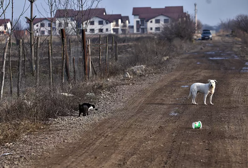 Drumul blocat de moloz. Foto: Dumitru Angelescu