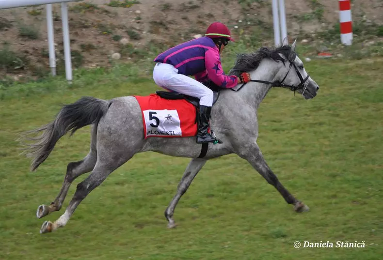 Francezul care a readus cursele de galop în România