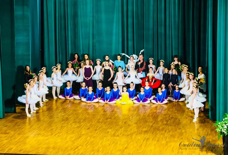 60700855_2932145220136618_7961928790421012480_o