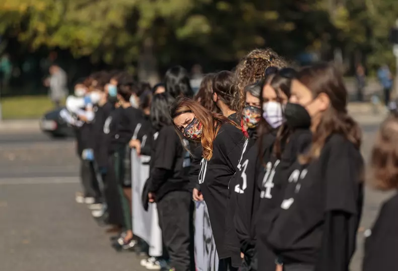 protest violenta domestica vlad chirea