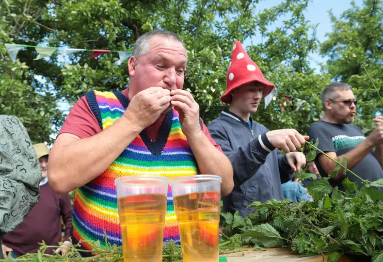 World Nettle Eating Championships saw record numbers chow down the stinging plants