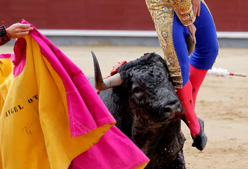Momentul șocant în care un matador este împuns de un taur