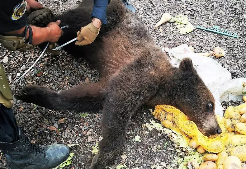 202261576_1140511769782419_6322080821686551185_n